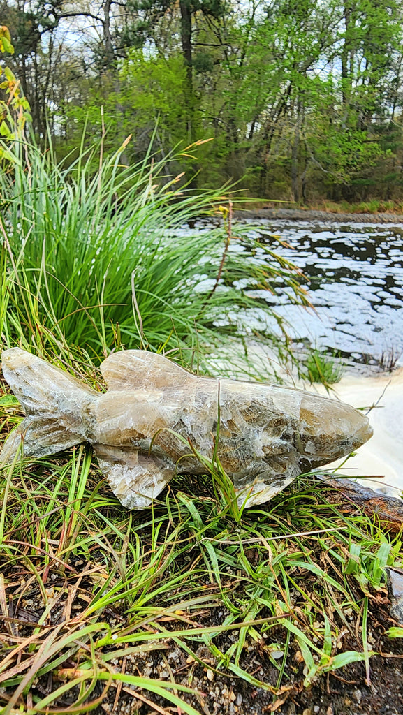 GOLDEN MICA FISH – Crystal Islands